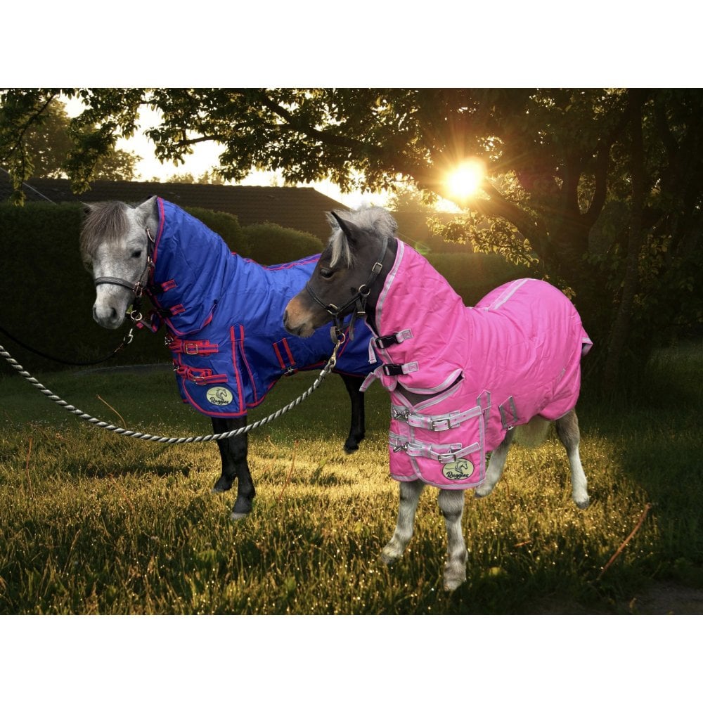 Shetland-Miniature 100g Combo Stable Rug