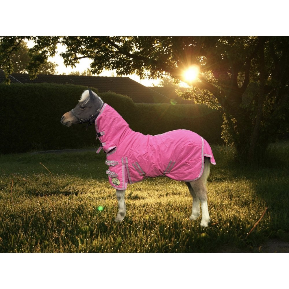 Shetland-Miniature 100g Combo Stable Rug