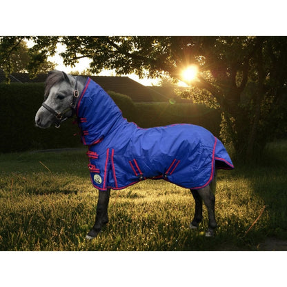 Shetland-Miniature 100g Combo Stable Rug