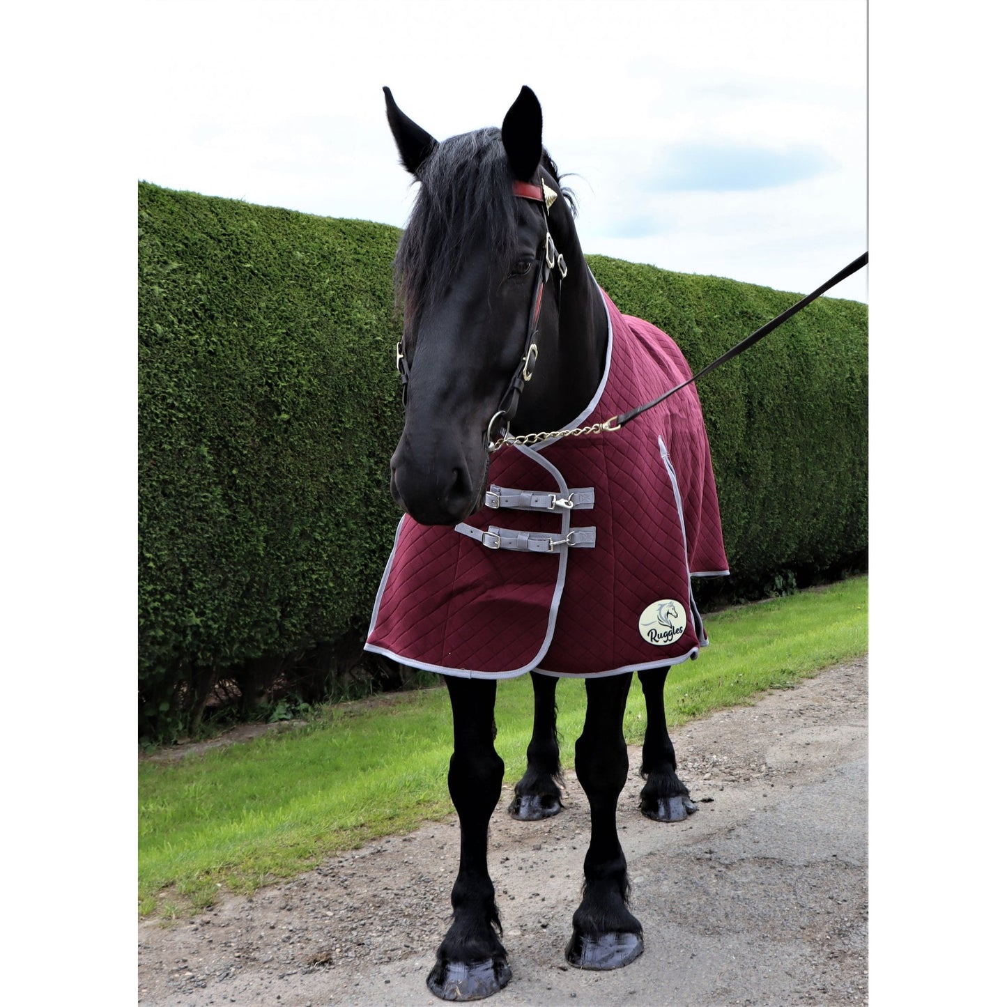 Heavy Horse Triple Layer Wicking Rug With Tail Flap