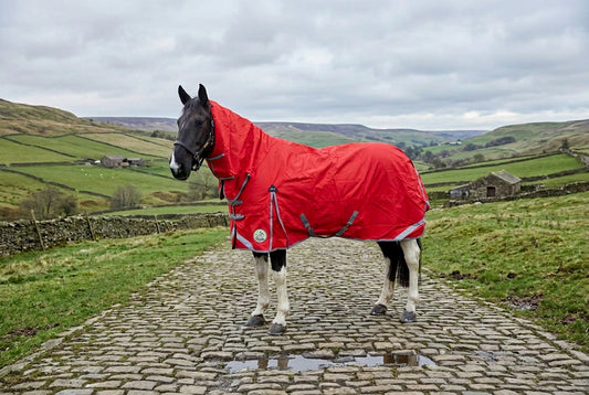 Heavy Horse Middleweight 200g 1200D Combo Turnout Rug