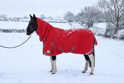 Heavy Horse Middleweight 200g 1200D Combo Turnout Rug