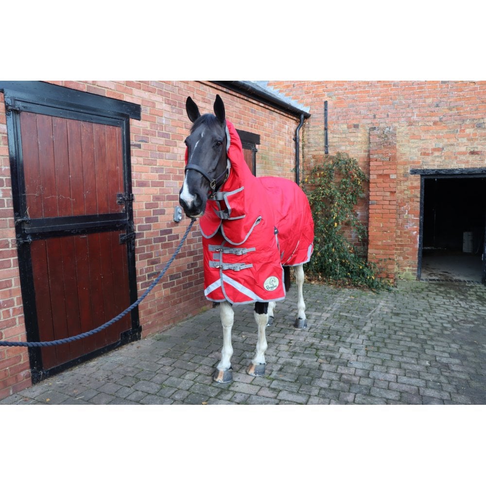 Heavy Horse Middleweight 200g 1200D Combo Turnout Rug