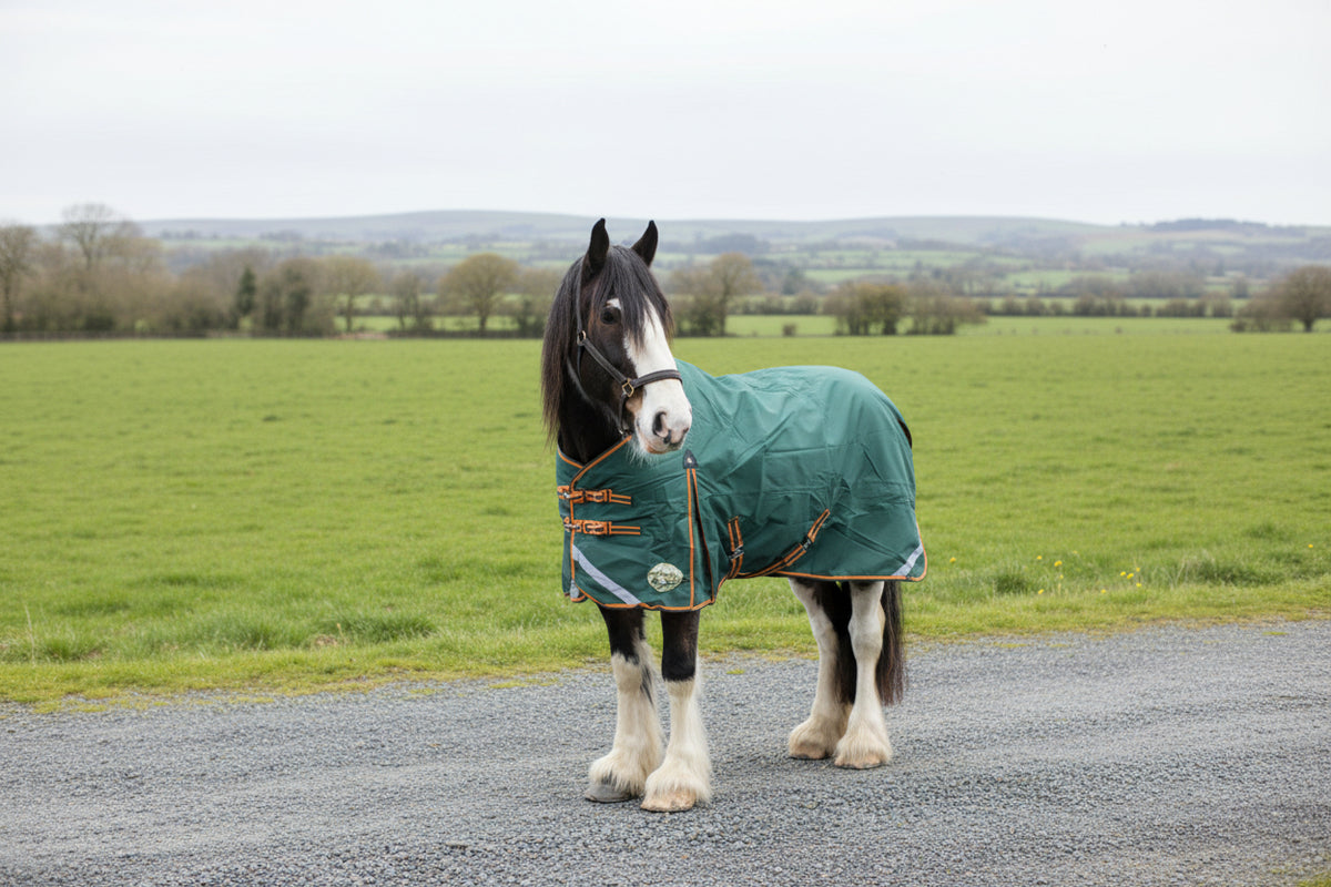 Heavyweight Rugs Heavy Horse Heavyweight 400g V2 1200D Turnout Rug – Ruggles Equestrian