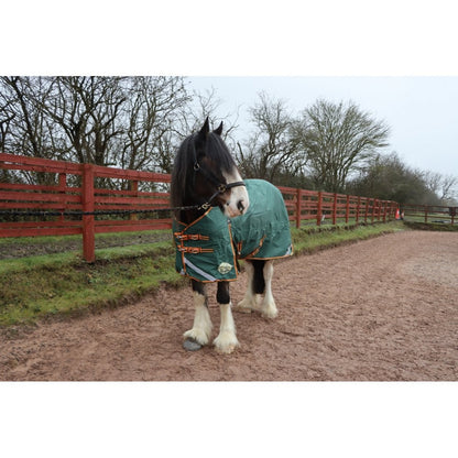Heavy Horse Heavyweight 400g V2 1200D Turnout Rug