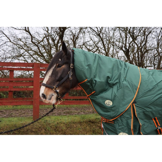 Heavy Horse 400g V2 Neck Cover Only (Matching Rug Available Separately)