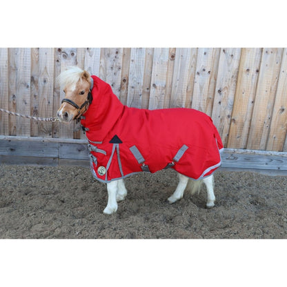 Shetland-Miniature-Donkey-Section A Lightweight No Fill Combo Turnout Rug