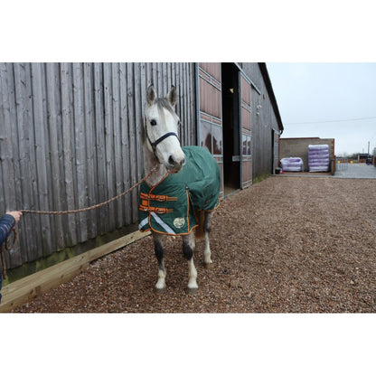 400g Heavyweight V2 1200D Turnout Rug