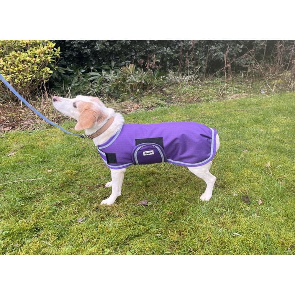 Waterproof Dog Coat - Purple / Aqua Spots