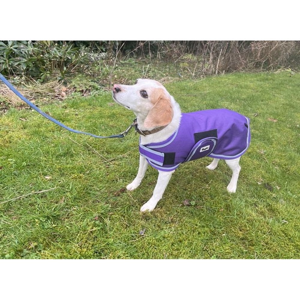 Waterproof Dog Coat - Purple / Aqua Spots