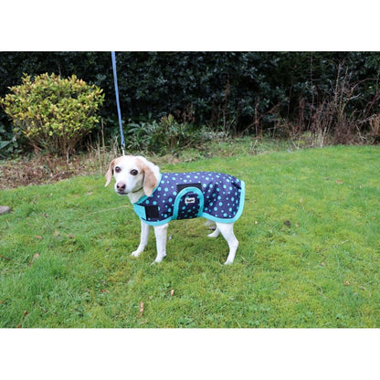Waterproof Dog Coat - Purple / Aqua Spots
