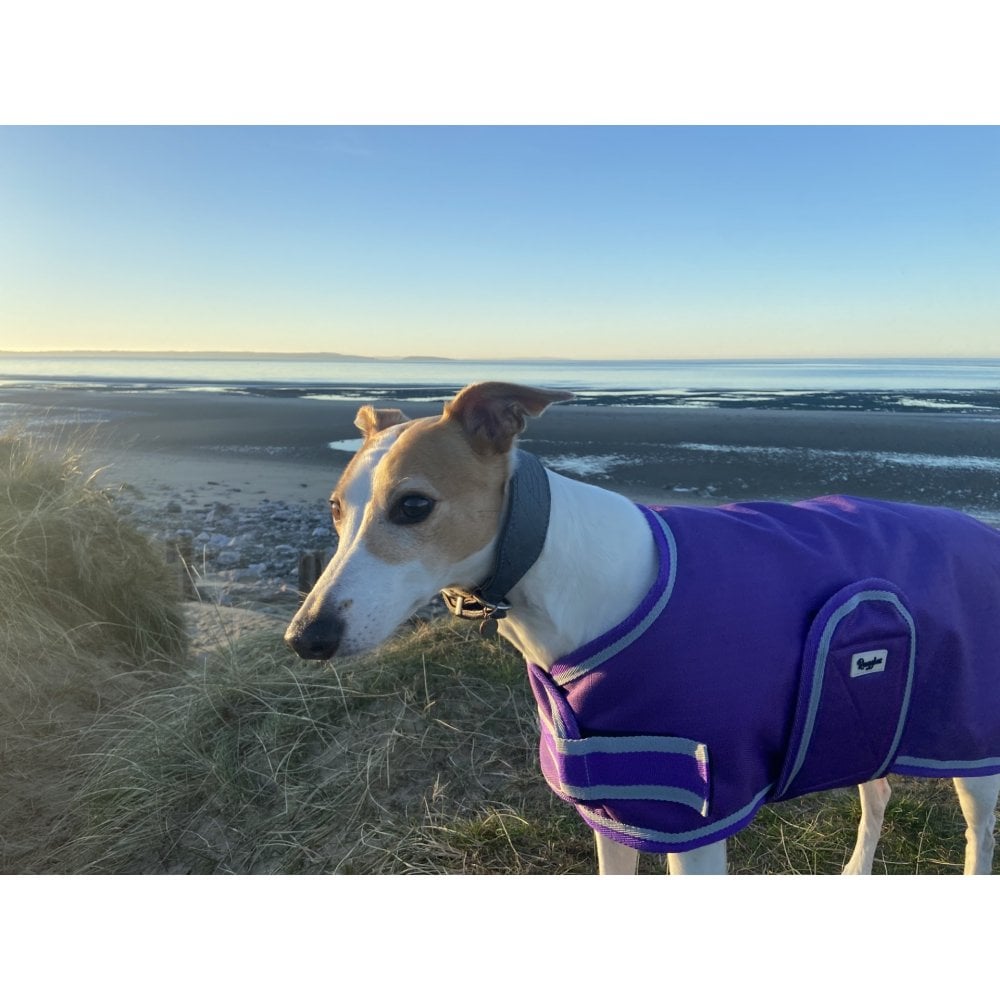 Waterproof Dog Coat - Purple / Aqua Spots