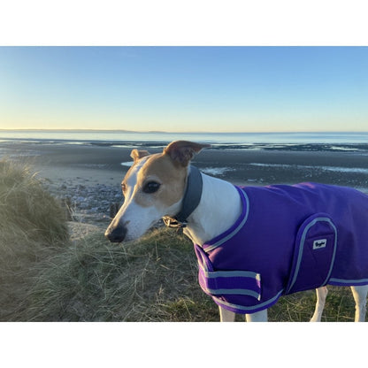 Waterproof Dog Coat - Purple / Aqua Spots