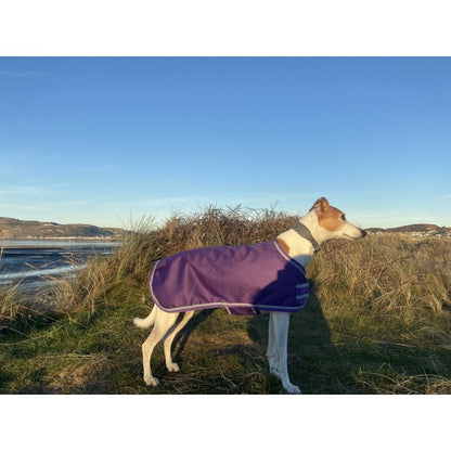 Waterproof Dog Coat - Purple / Aqua Spots