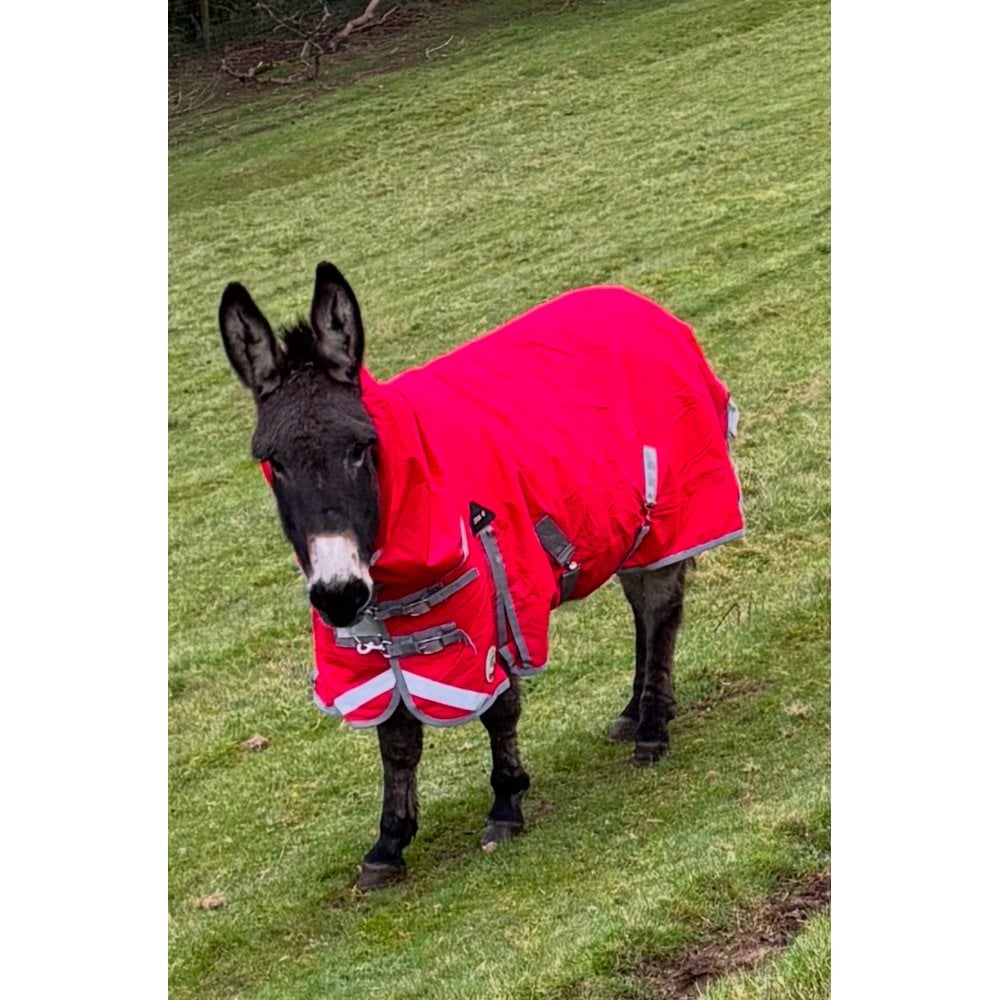 Shetland-Miniature-Donkey Combo Turnout 200g