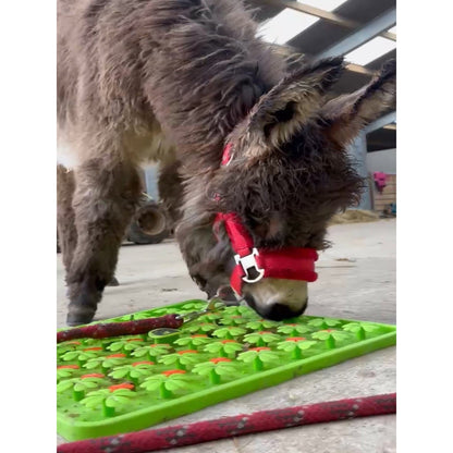 Horse-Pony-Shetland-Donkey Snuffle Treat Mat