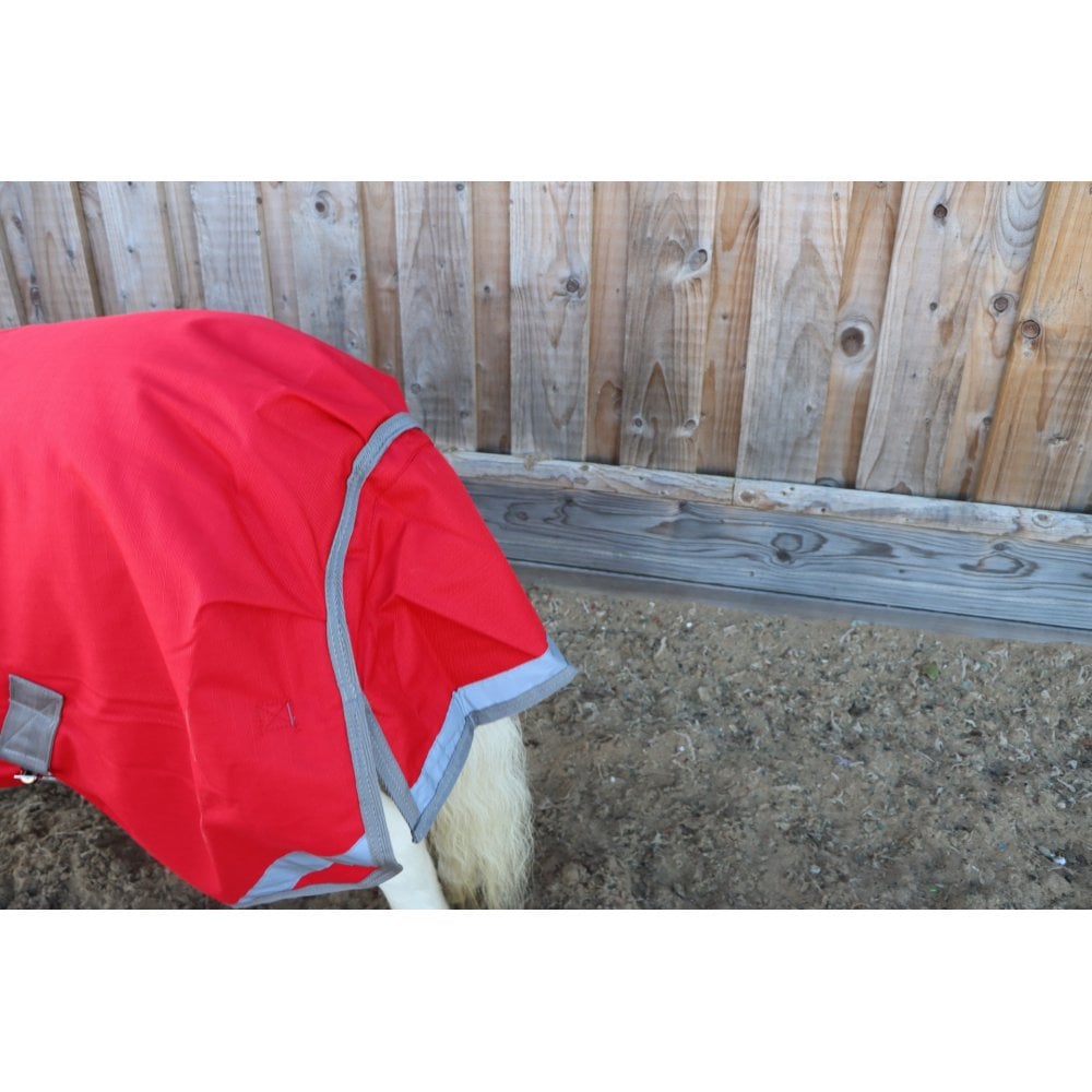 Shetland-Miniature-Donkey Combo Turnout 200g