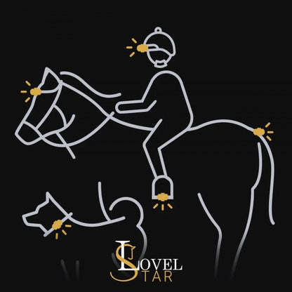 LED Spot Lights (pack of 4) For Hat, Stirrups, Tail, Back Packs, Items of Tack And Dog Collar