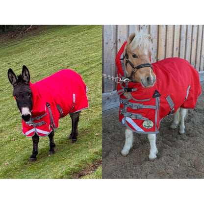 Shetland-Miniature-Donkey Combo Turnout 200g
