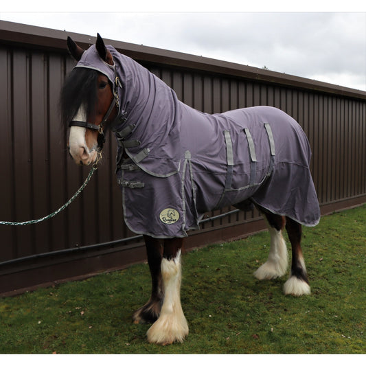 Heavy Horse UV Combo Fly Rug