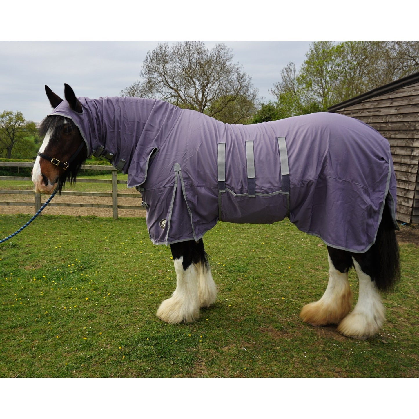 Heavy Horse UV Combo Fly Rug