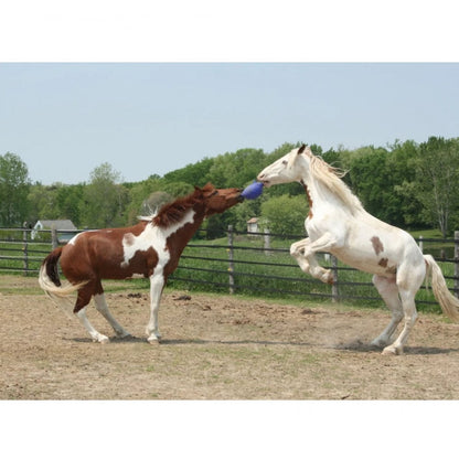 Scented Jolly Ball 25cm