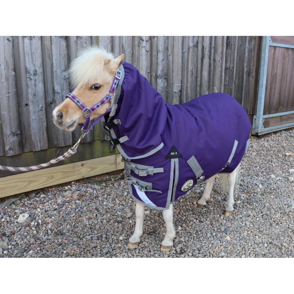 Shetland-Miniature-Donkey-Section A 100g Combo Turnout Rug