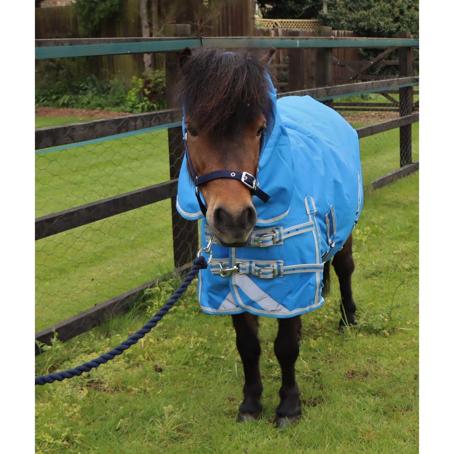 Shetland-Miniature-Donkey-Section A 100g Combo Turnout Rug