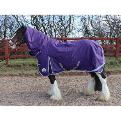 Heavy Horse 100g Combo Turnout Rug