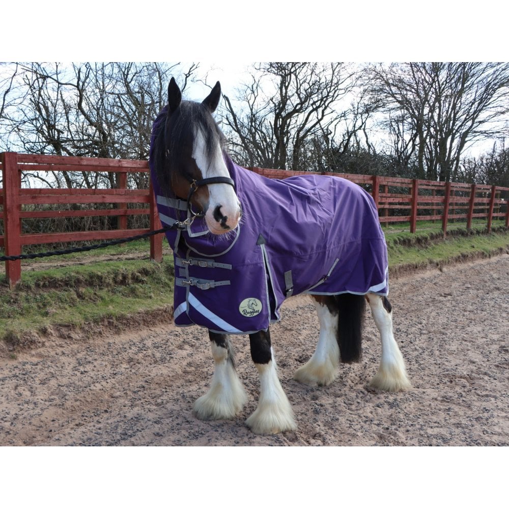 Heavy Horse 100g Combo Turnout Rug