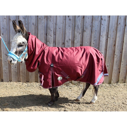 Shetland-Miniature-Donkey-Section A Lightweight No Fill Combo Turnout Rug
