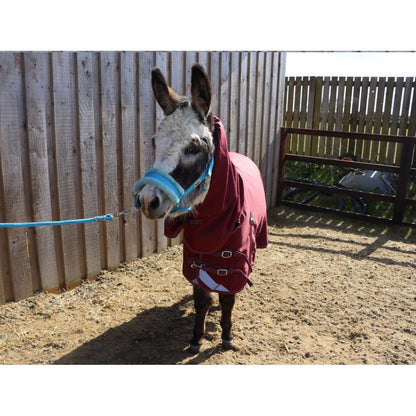 Shetland-Miniature-Donkey-Section A Lightweight No Fill Combo Turnout Rug