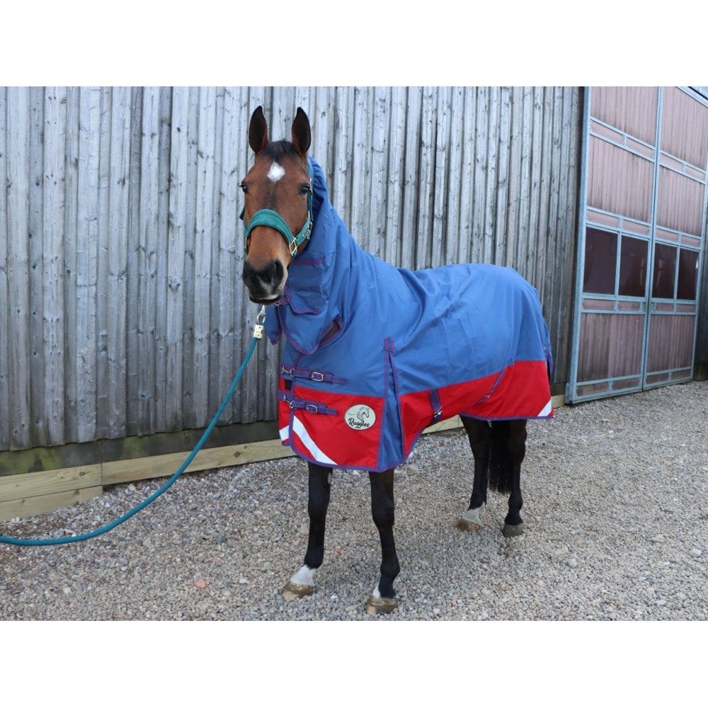 100g Combo Turnout Rug