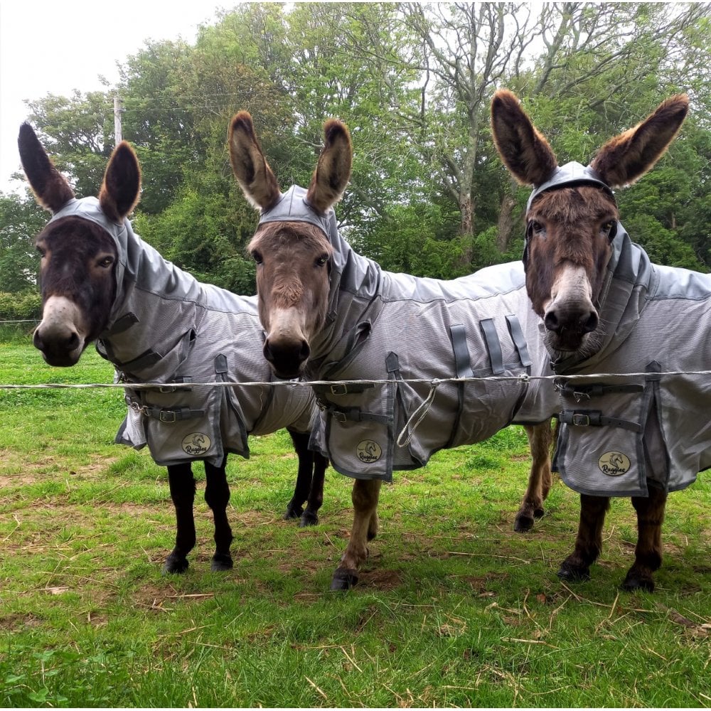 Shetland-Donkey Fly Combo With Waterproof Top Line