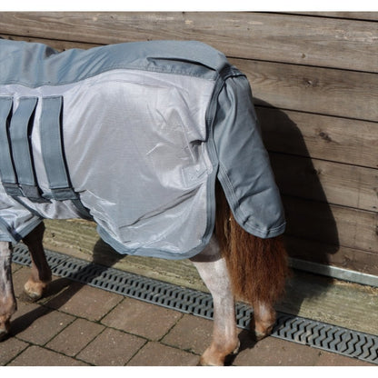 Shetland-Donkey Fly Combo With Waterproof Top Line