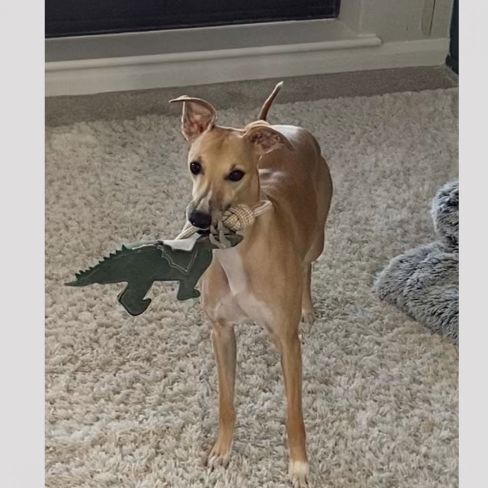 Dog Toy - Dinosaur – Ruggles Equestrian