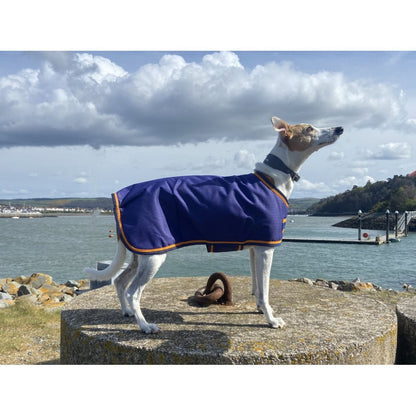 Waterproof Dog Coat