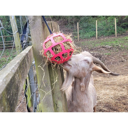 Hay Slow Feeder Fun and Flex 22cm Ball