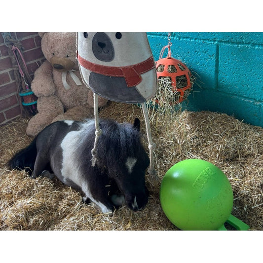 Scented Jolly Ball 25cm