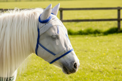 Shetland-Miniature-Section A Fly Mask