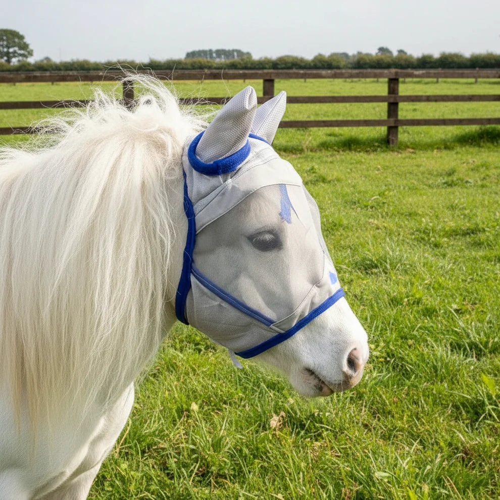 Shop Soiled 4'6 Mint Green UV Fly Combo And A Shetland Large Mesh Fly Mask Without a Nose Guard.
