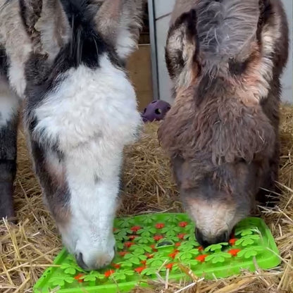 Horse-Pony-Shetland-Donkey Snuffle Treat Mat