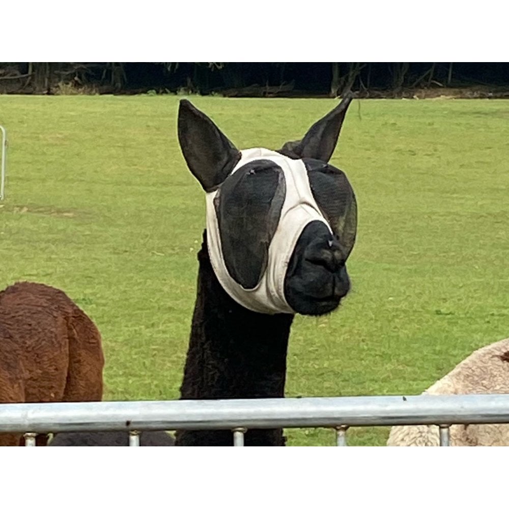 Lycra Pull On Fly Mask With Ears for Alpacas and Sheep