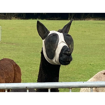 Lycra Pull On Fly Mask With Ears for Alpacas and Sheep
