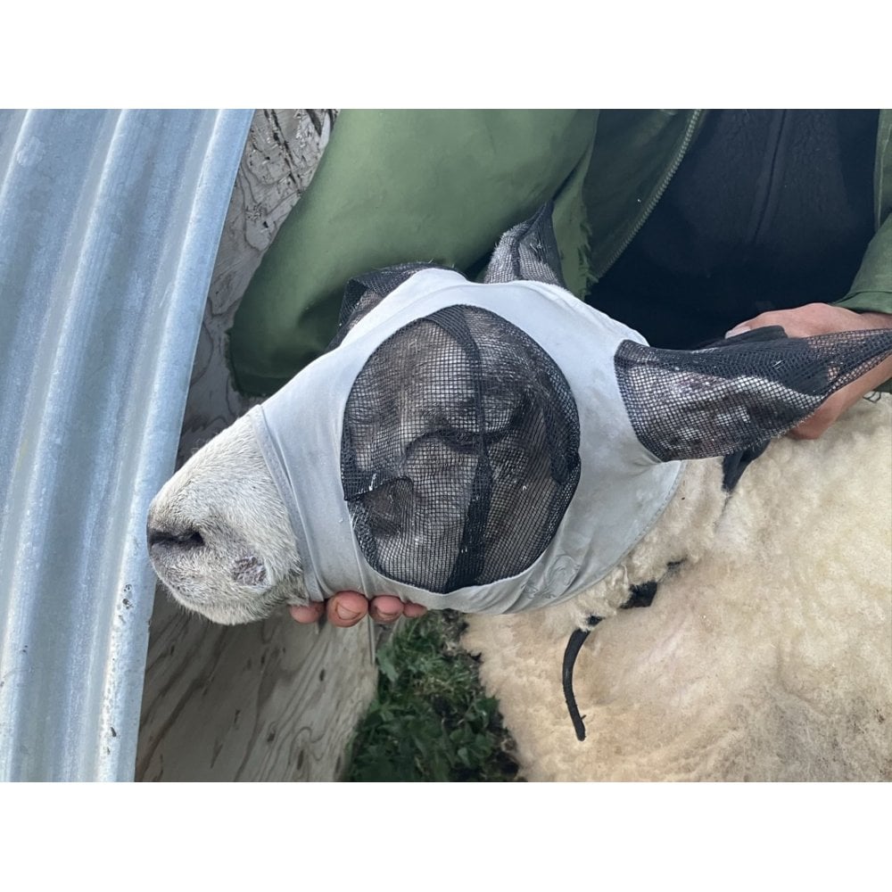 Lycra Pull On Fly Mask With Ears for Alpacas and Sheep
