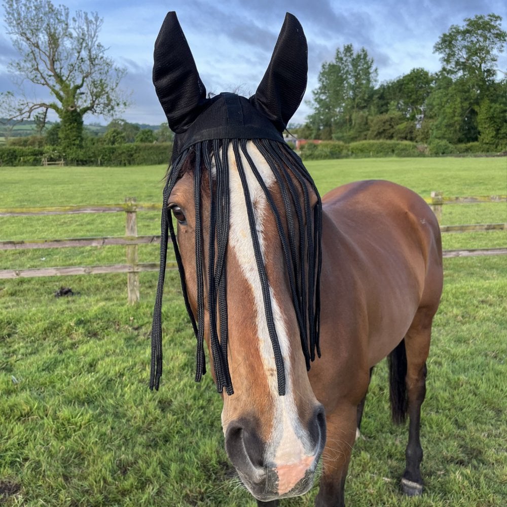 Fly Fringe with Ears
