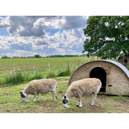 Lycra Pull On Fly Mask With Ears for Alpacas and Sheep