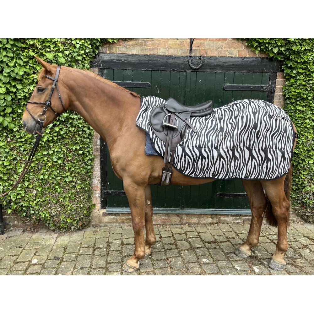 Ride On Mesh Fly Exercise Sheet