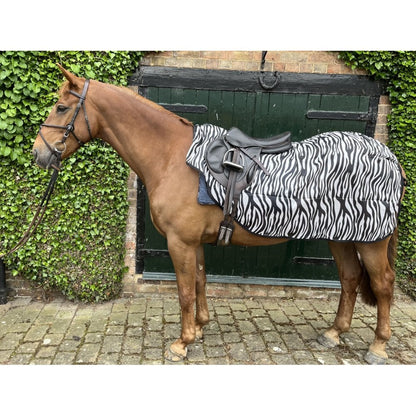 Ride On Mesh Fly Exercise Sheet