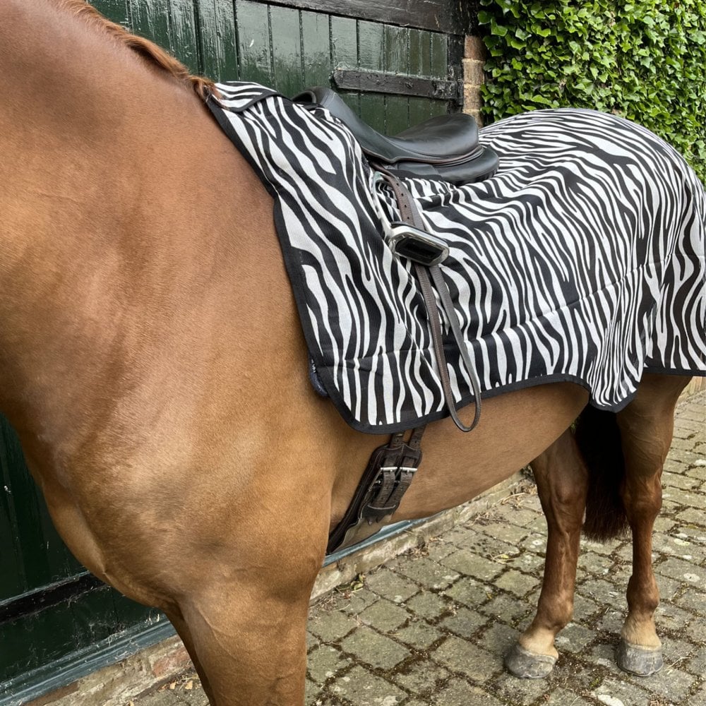 Mesh Fly Exercise Sheet with Hole